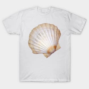 Fan seashell T-Shirt